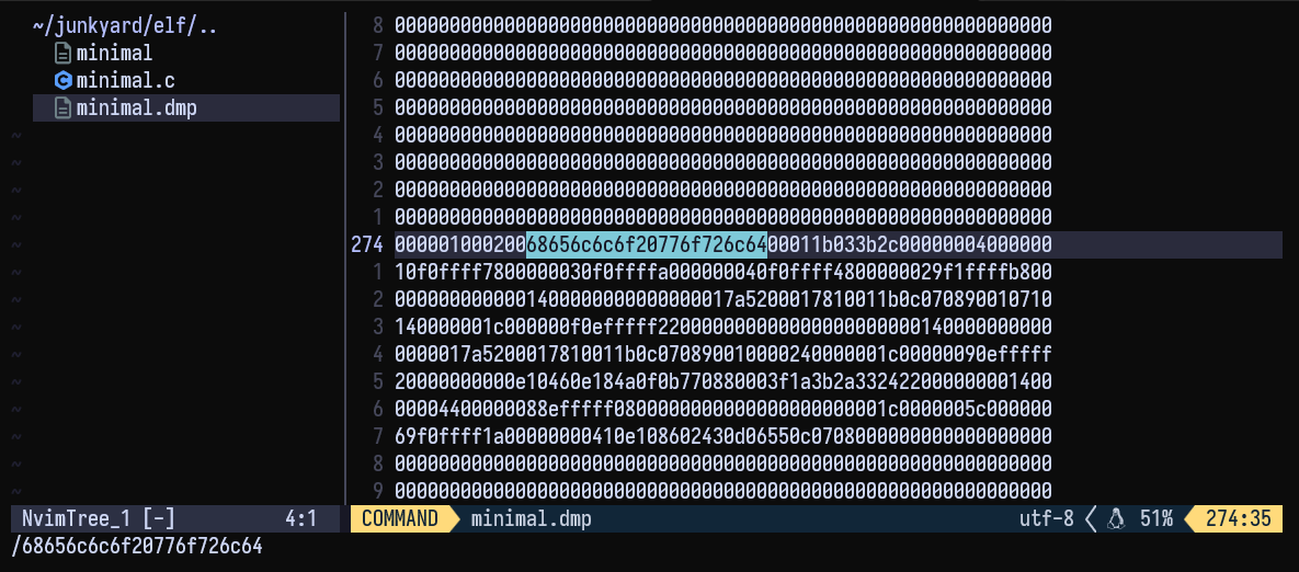 search_elf_file